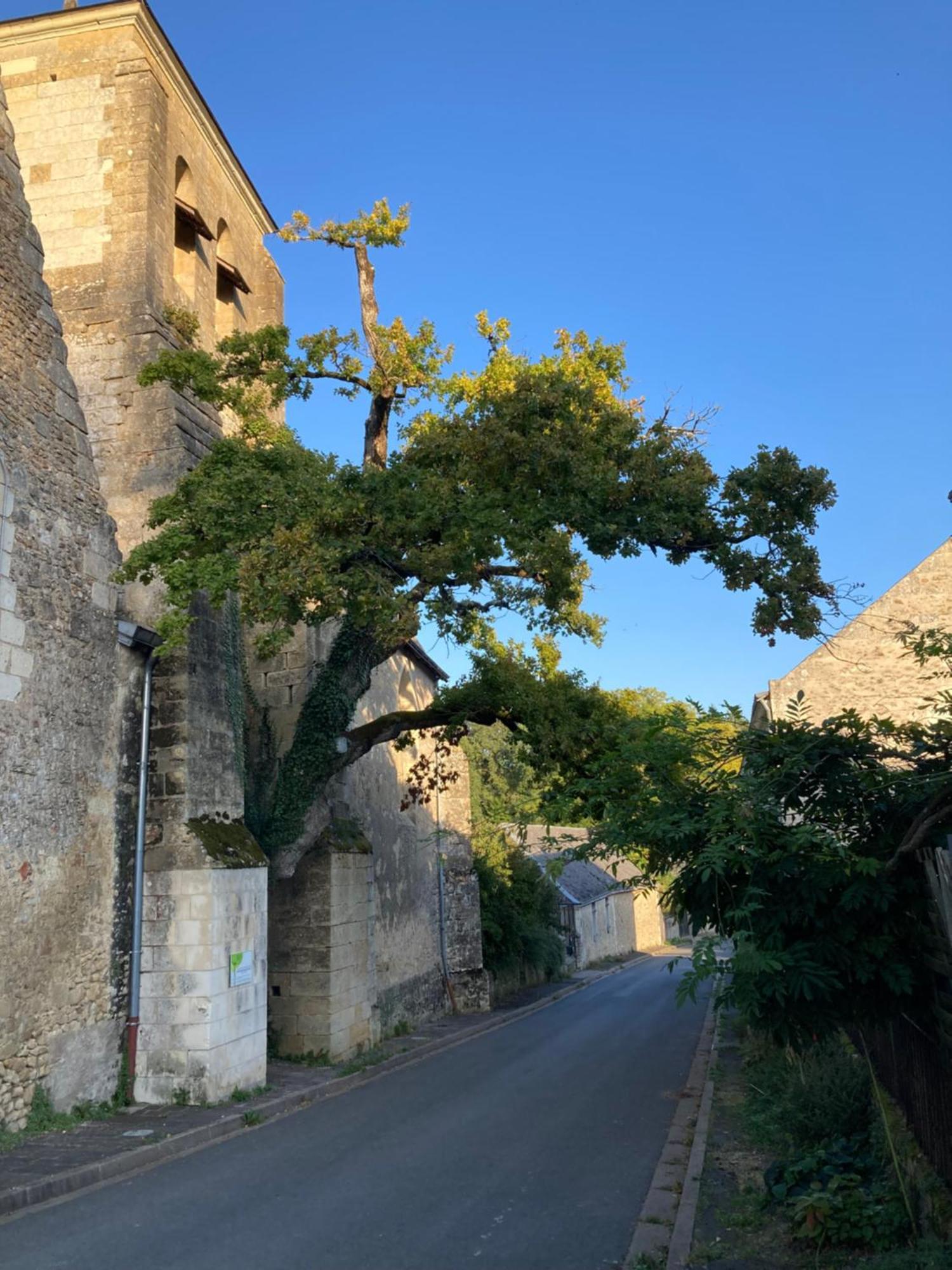 SavonnièresPavillon En Touraineアパートメント エクステリア 写真